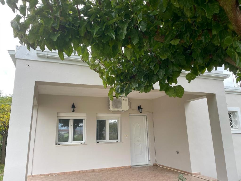 Andromahi Apartments & Suite Laganas Zewnętrze zdjęcie